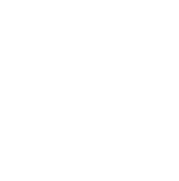 Orbite Média