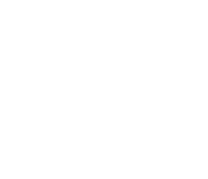Solo Design